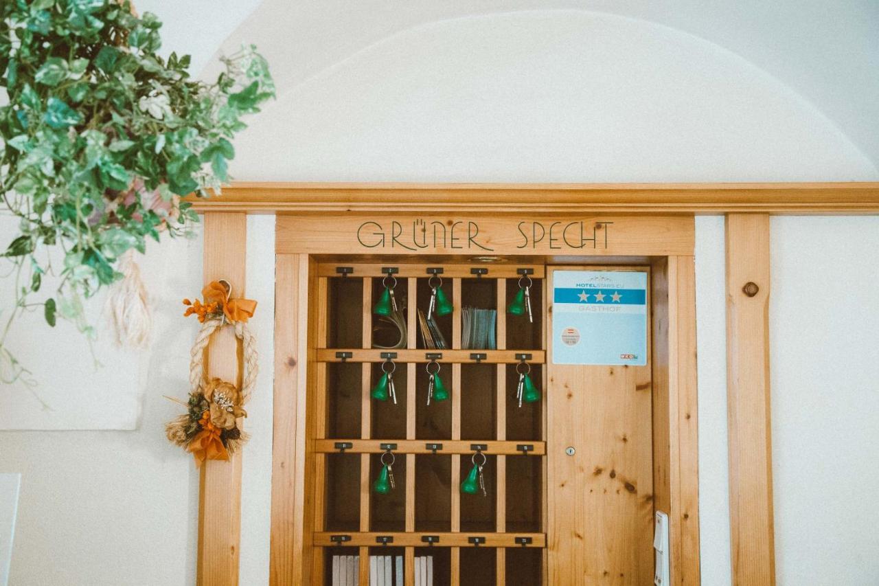 Gasthof Zum Gruenen Specht Oberzeiring エクステリア 写真